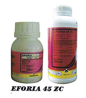 EFORIA-45-ZC.jpg