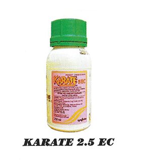 KARATE-2.5-EC.jpg