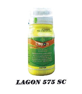 LAGON-575-SC.jpg
