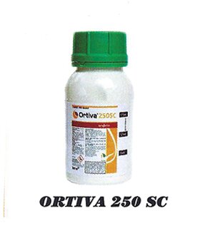 ORTIVA-250-SC.jpg
