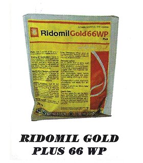 RODOMIL-GOLD-PLUS-66-WP.jpg