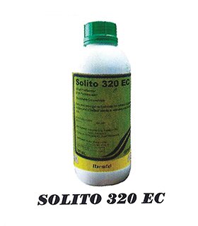 SOLITO-320-EC.jpg