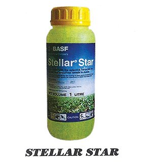 STELLAR-STAR.jpg
